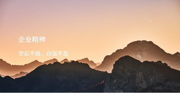 企业精神